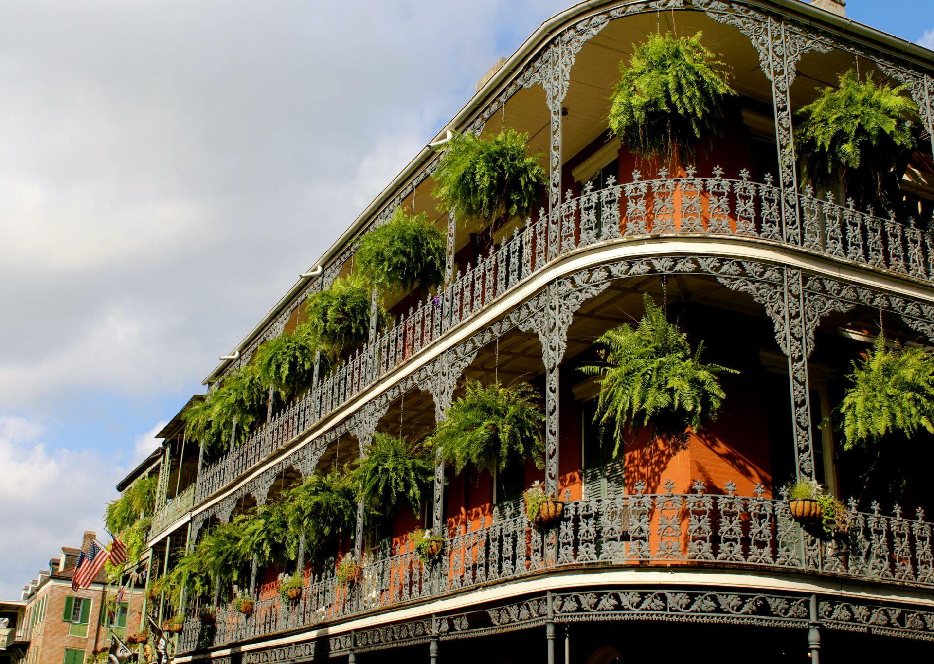 High-rise Building With Green Leaf Hanging Plants